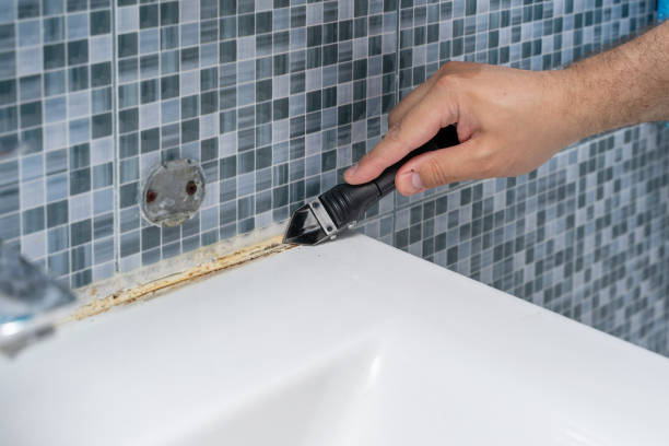 Best Black Mold Removal  in Hartford, IL